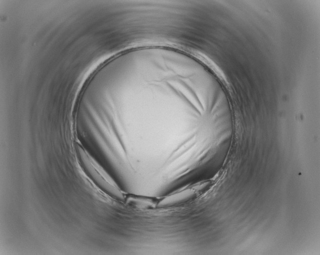 X0000078270996200611251349