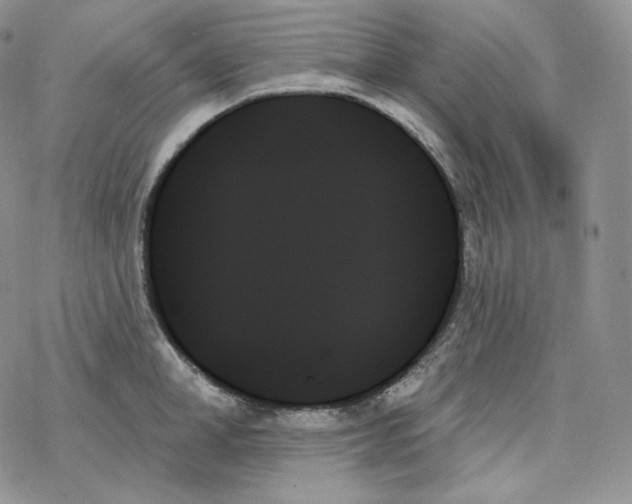 X0000078270998200611251349