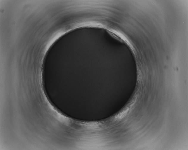 X0000078270999200611251349