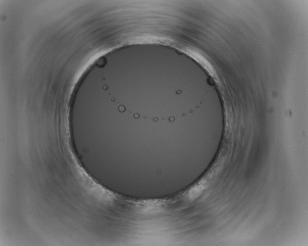 X0000078271000200611251349