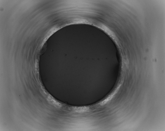 X0000078271001200611251349