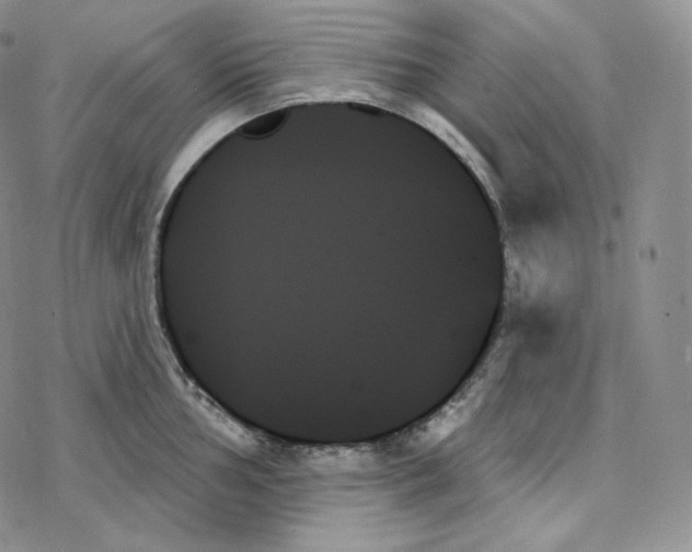 X0000078271002200611251349