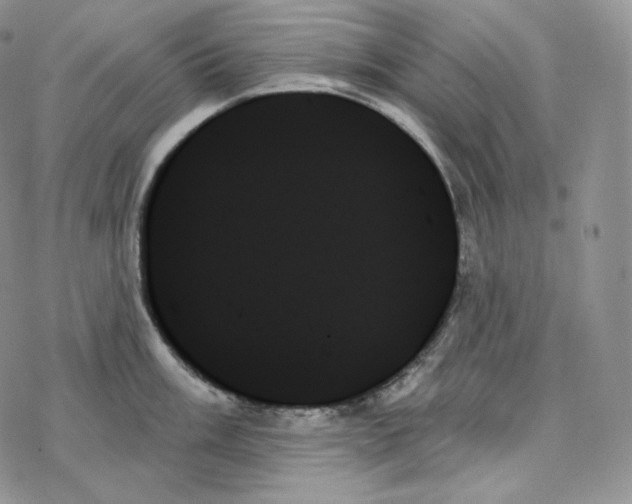 X0000078271003200611251349