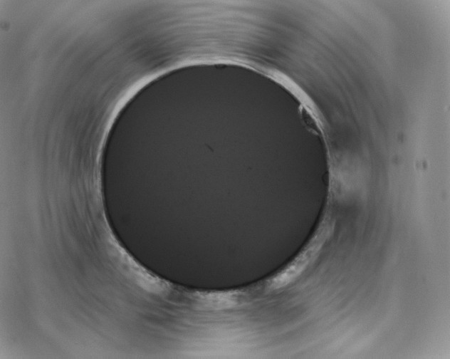 X0000078271004200611251349