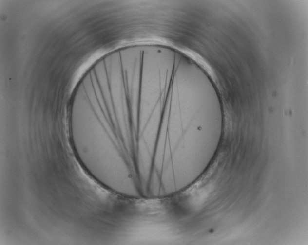 X0000078271006200611251349