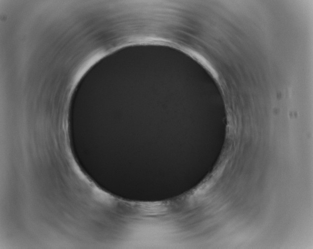 X0000078271007200611251349