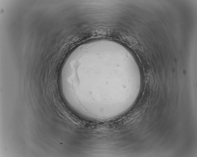 X0000078271009200611251348