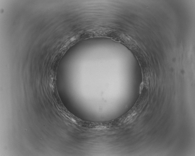 X0000078271010200611251348