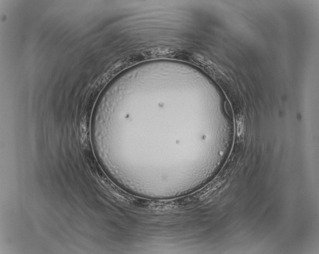 X0000078271011200611251348