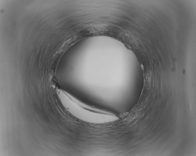 X0000078271012200611251348