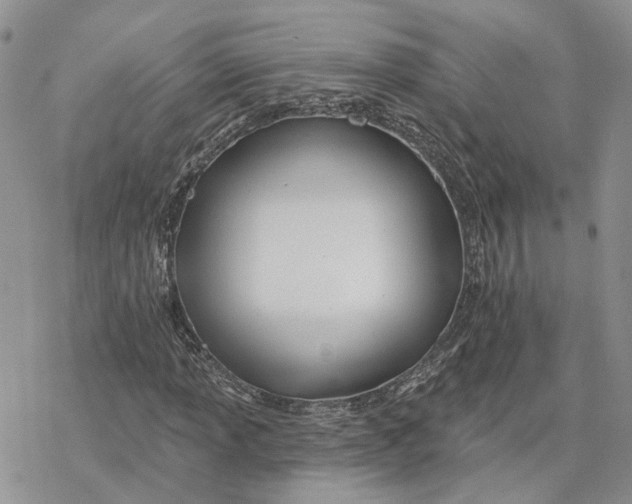 X0000078271013200611251348