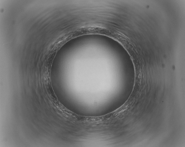 X0000078271014200611251348