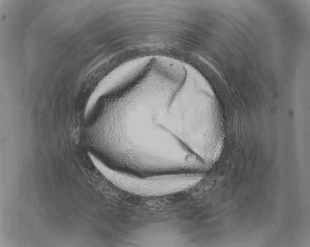 X0000078271015200611251348