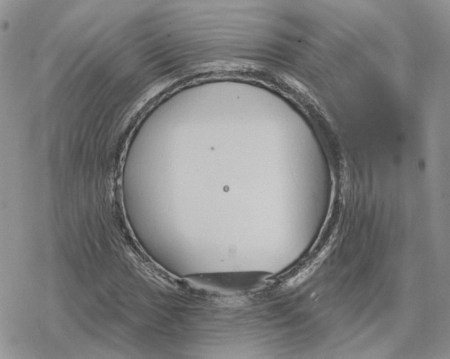 X0000078271017200611251348