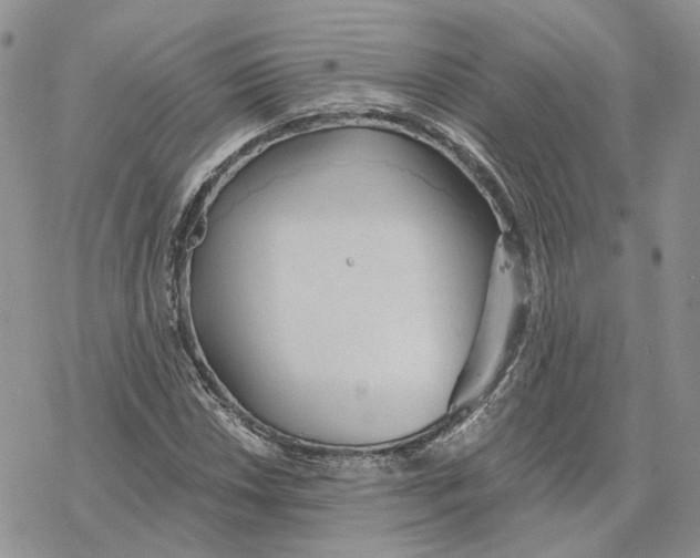 X0000078271018200611251348