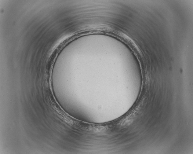 X0000078271019200611251348