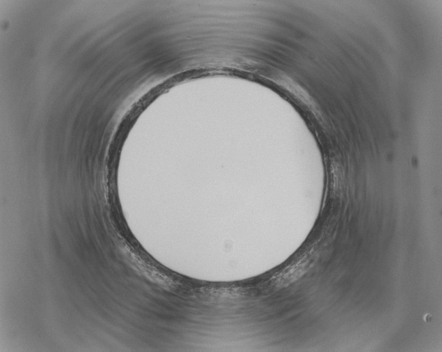 X0000078271020200611251348