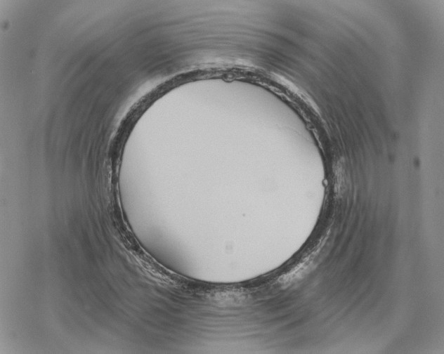 X0000078271021200611251348