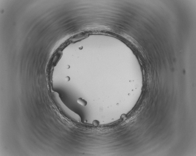 X0000078271022200611251348