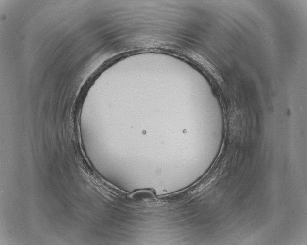 X0000078271023200611251348