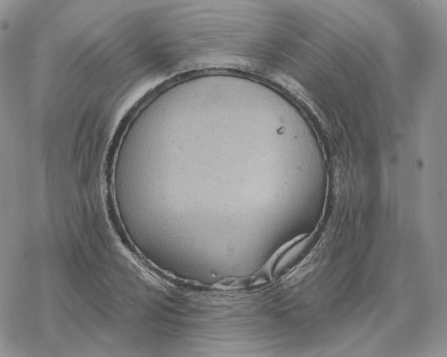 X0000078271024200611251348