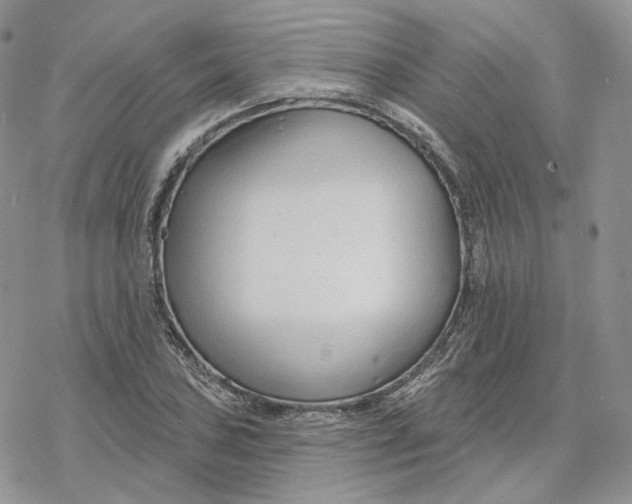 X0000078271027200611251348