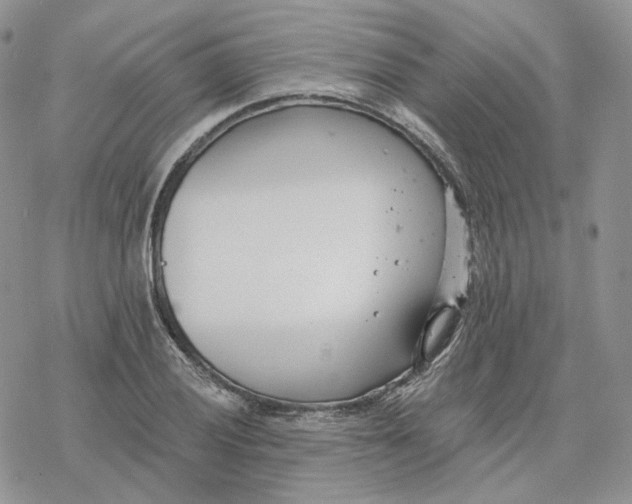 X0000078271028200611251348