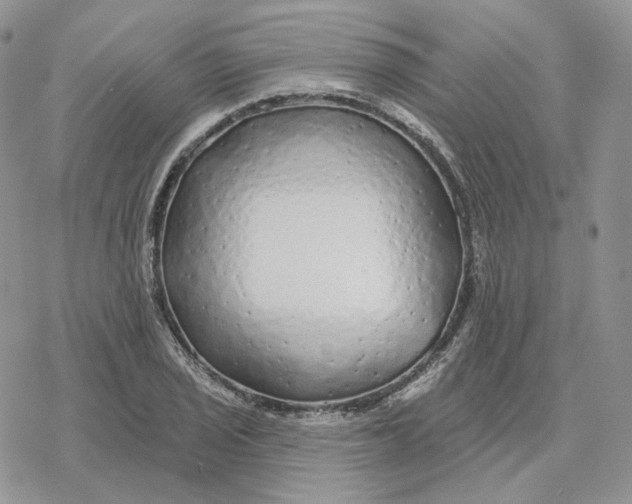 X0000078271029200611251348