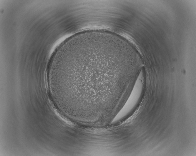 X0000078271030200611251348