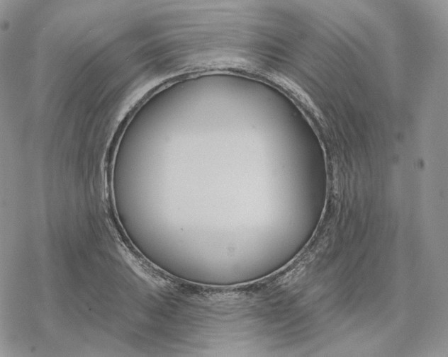 X0000078271031200611251348