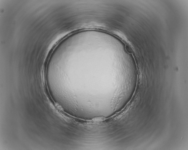 X0000078271032200611251348