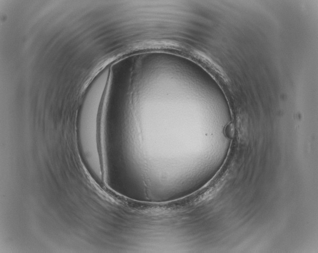 X0000078271033200611251348