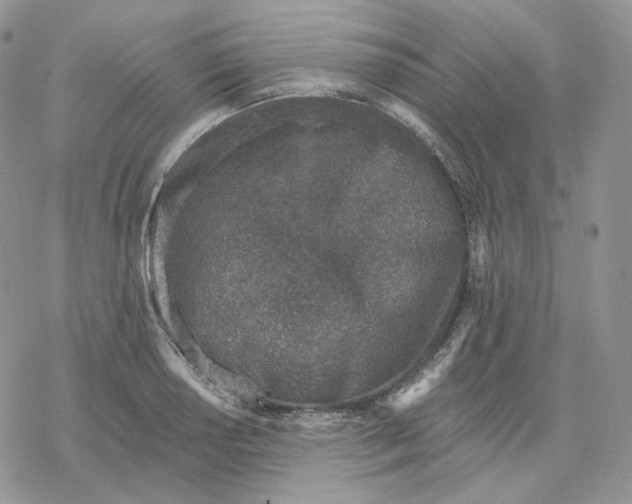 X0000078271034200611251348