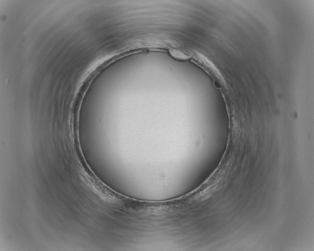 X0000078271035200611251348