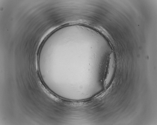 X0000078271036200611251348