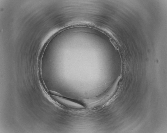 X0000078271038200611251348