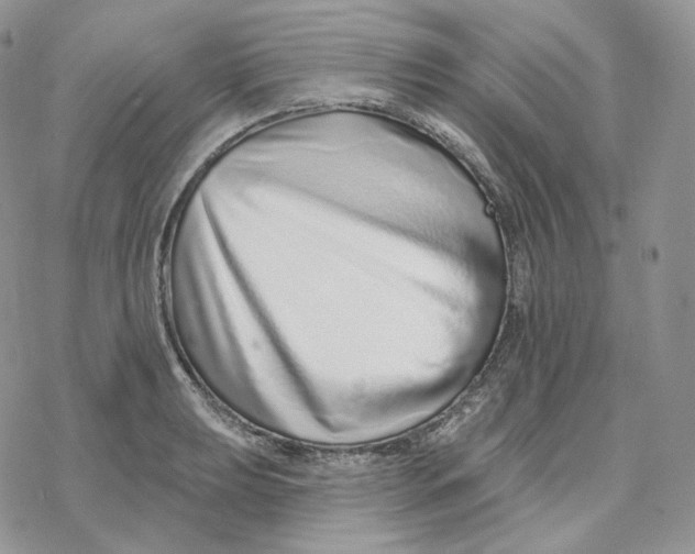 X0000078271039200611251348