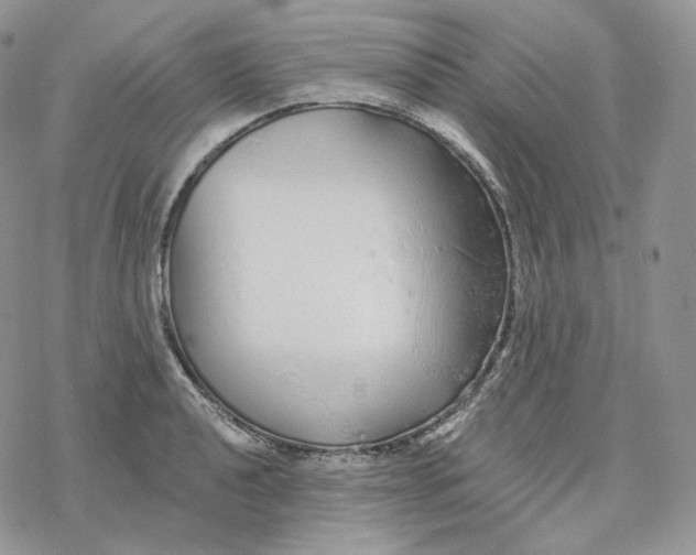 X0000078271040200611251348