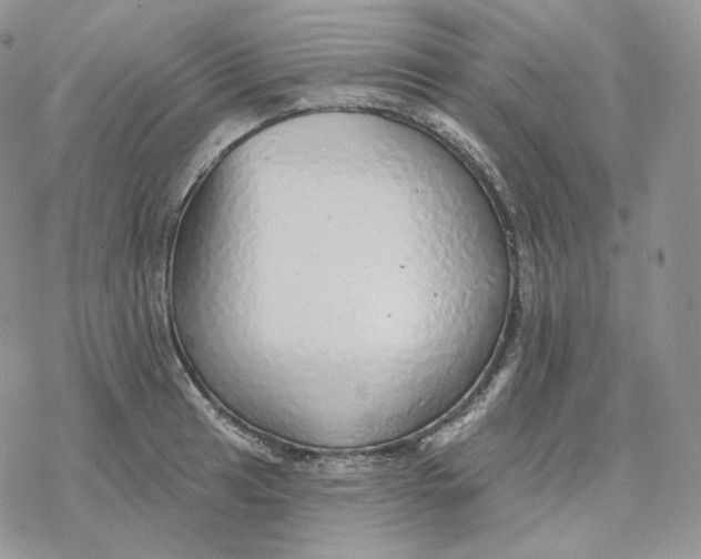 X0000078271041200611251348