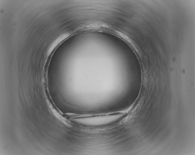 X0000078271042200611251348