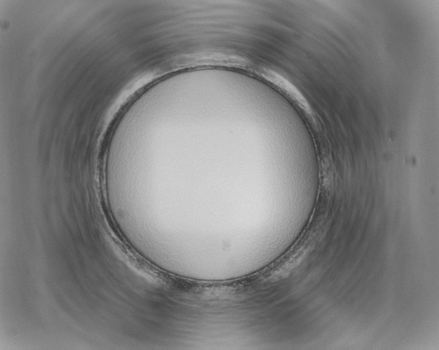 X0000078271043200611251348