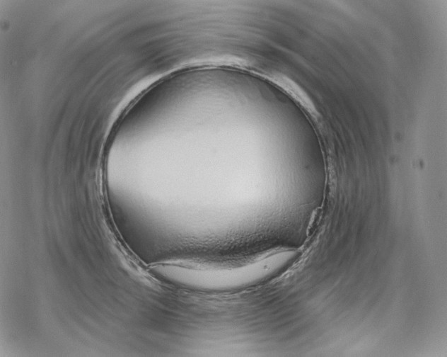 X0000078271044200611251348