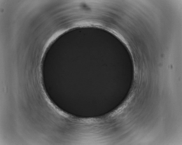 X0000078271045200611251348