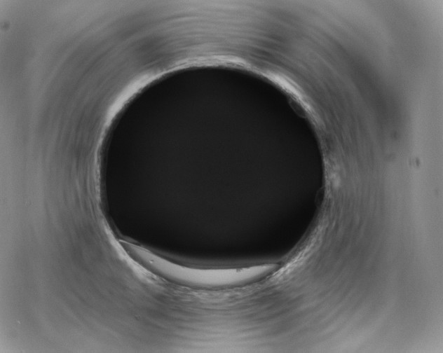 X0000078271046200611251348