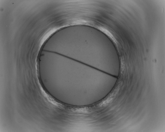 X0000078271047200611251348