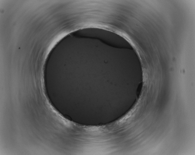 X0000078271048200611251348