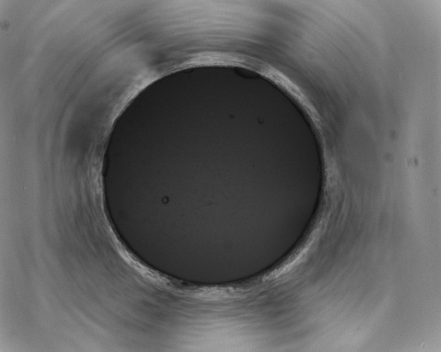 X0000078271049200611251348