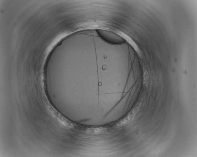 X0000078271051200611251348