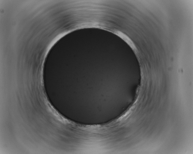 X0000078271052200611251348