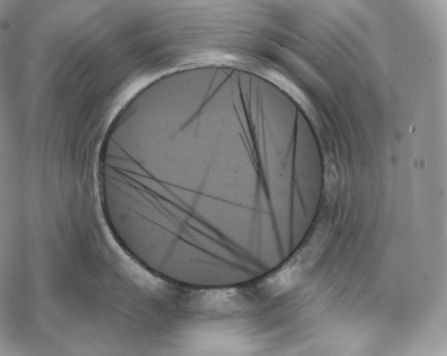 X0000078271055200611251348